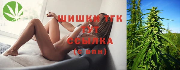 мяу мяу мука Абаза