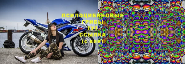 гидра Абдулино