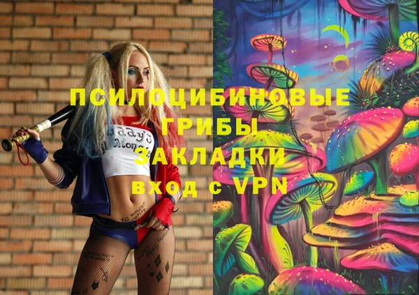 apvp Алзамай