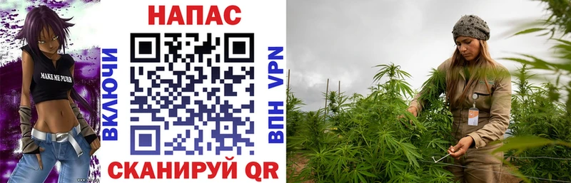 магазин    Красный Сулин  Канабис OG Kush 
